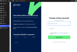 Page screenshot: Tidio Chat