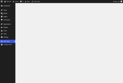 Page screenshot: Tidio Chat &lsaquo; Test site &mdash; WordPress