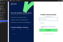 Page screenshot: Tidio Chat &lsaquo; Test site &mdash; WordPress