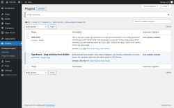 Page screenshot: Plugins &lsaquo; Test site &mdash; WordPress
