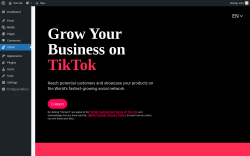 Page screenshot: TikTok
