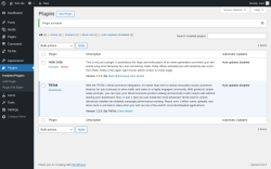 Page screenshot: Plugins ‹ Test site — WordPress