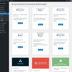 Page screenshot: Time Clock → Plugins
