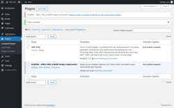 Page screenshot: Plugins &lsaquo; Test site &mdash; WordPress