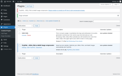 Page screenshot: Plugins &lsaquo; Test site &mdash; WordPress