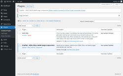 Page screenshot: Plugins &lsaquo; Test site &mdash; WordPress
