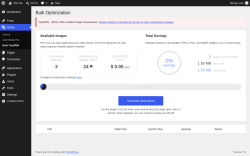 Page screenshot: Media &rarr; Bulk TinyPNG