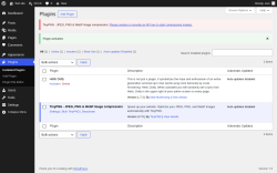 Page screenshot: Plugins &lsaquo; Test site &mdash; WordPress
