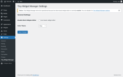 Page screenshot: Settings &rarr; Tiny Widget Manager