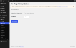 Page screenshot: Settings &rarr; Tiny Widget Manager