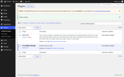 Page screenshot: Plugins &lsaquo; Test site &mdash; WordPress