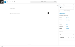 Page screenshot: Add New Post &lsaquo; Test site &mdash; WordPress
