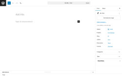 Page screenshot: Add Post &lsaquo; Test site &mdash; WordPress