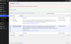 Page screenshot: Plugins &lsaquo; Test site &mdash; WordPress