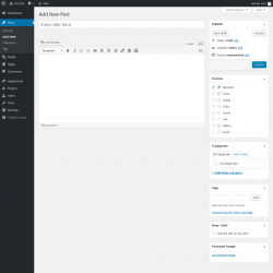 Page screenshot: Add New Post &lsaquo; Test site &mdash; WordPress