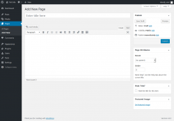 Page screenshot: Add New Page &lsaquo; Test site &mdash; WordPress