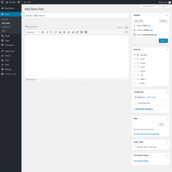 Page screenshot: Add New Post &lsaquo; Test site &mdash; WordPress