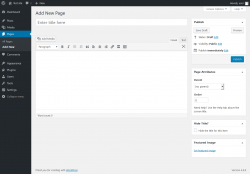 Page screenshot: Add New Page &lsaquo; Test site &mdash; WordPress
