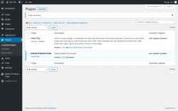 Page screenshot: Plugins &lsaquo; Test site &mdash; WordPress