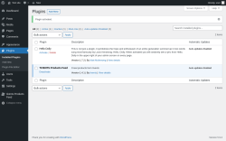 Page screenshot: Plugins &lsaquo; Test site &mdash; WordPress