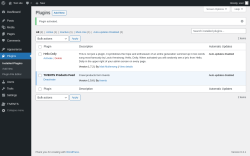 Page screenshot: Plugins &lsaquo; Test site &mdash; WordPress