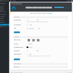 Page screenshot: To Top Settings