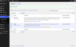 Page screenshot: Plugins &lsaquo; Test site &mdash; WordPress