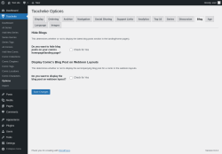 Page screenshot: Toocheke &rarr; Options &rarr; Blog