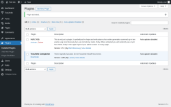 Page screenshot: Plugins &lsaquo; Test site &mdash; WordPress