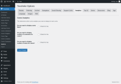 Page screenshot: Toocheke &rarr; Options &rarr; Analytics