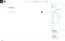 Page screenshot: Toocheke &rarr; Add New Series
