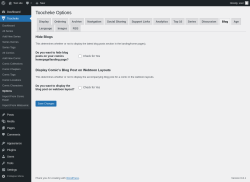 Page screenshot: Toocheke &rarr; Options &rarr; Blog