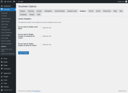 Page screenshot: Toocheke &rarr; Options &rarr; Analytics