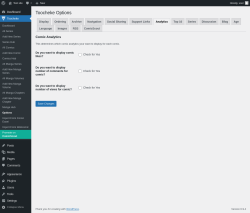 Page screenshot: Toocheke &rarr; Options &rarr; 
                    Analytics
                