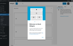 Page screenshot: Widgets &lsaquo; Test site &mdash; WordPress