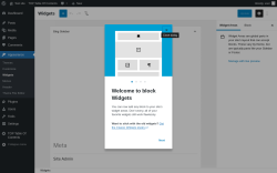 Page screenshot: Widgets &lsaquo; Test site &mdash; WordPress