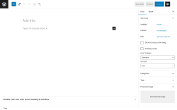 Page screenshot: Add New Post &lsaquo; Test site &mdash; WordPress