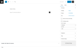 Page screenshot: Add New Post &lsaquo; Test site &mdash; WordPress