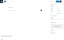 Page screenshot: Add New Page &lsaquo; Test site &mdash; WordPress