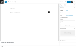 Page screenshot: Add New Page &lsaquo; Test site &mdash; WordPress