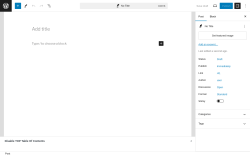 Page screenshot: Add New Post ‹ Test site — WordPress