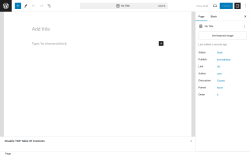 Page screenshot: Add New Page ‹ Test site — WordPress