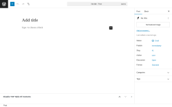 Page screenshot: Add Post ‹ Test site — WordPress