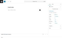 Page screenshot: Add Post &lsaquo; Test site &mdash; WordPress