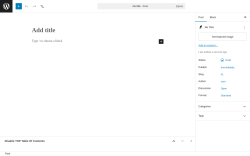 Page screenshot: Add Post &lsaquo; Test site &mdash; WordPress
