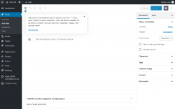 Page screenshot: Add New Post &lsaquo; Test site &mdash; WordPress