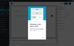 Page screenshot: Add New Page &lsaquo; Test site &mdash; WordPress