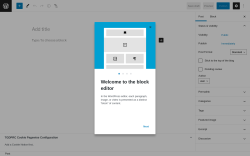Page screenshot: Add New Post &lsaquo; Test site &mdash; WordPress