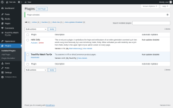 Page screenshot: Plugins &lsaquo; Test site &mdash; WordPress