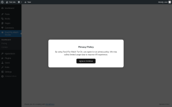 Page screenshot: TouchTry Watch Try-On